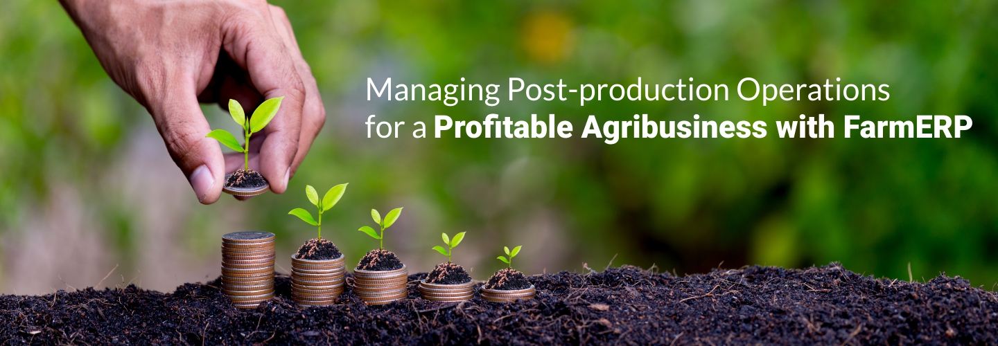 Streamlining Post-production Operations for a Profitable Agribusiness