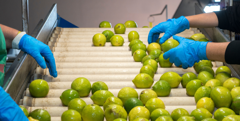 ProcessPack10X - post harvest management