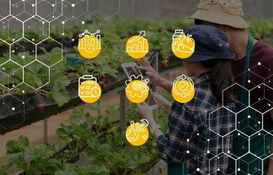 Digitalisation in Agriculture: 7 Reasons Why Your Agribusiness Needs It