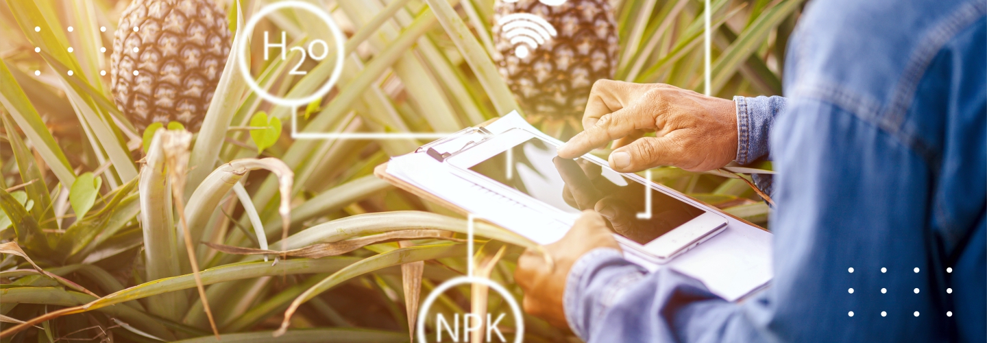 AI & ML in Agriculture: How these Technologies are Shaping a Promising Future for Agro-sector