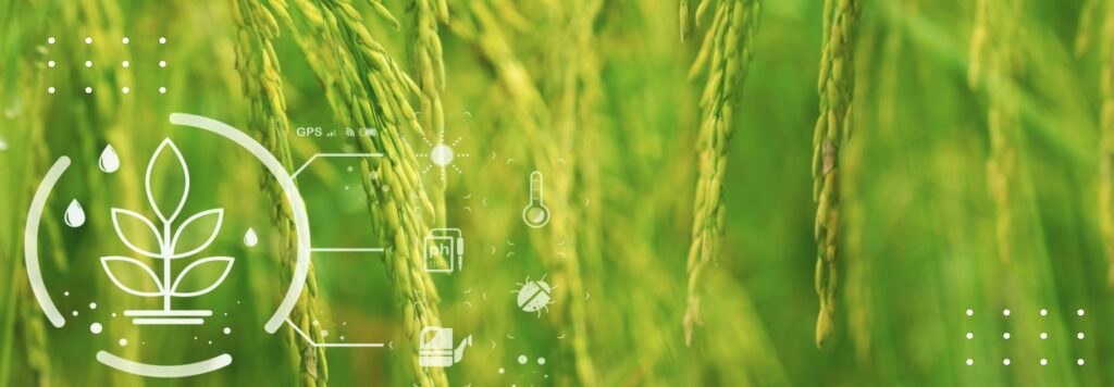 The Rise of Modern Farm Management as a Sustainability Solution