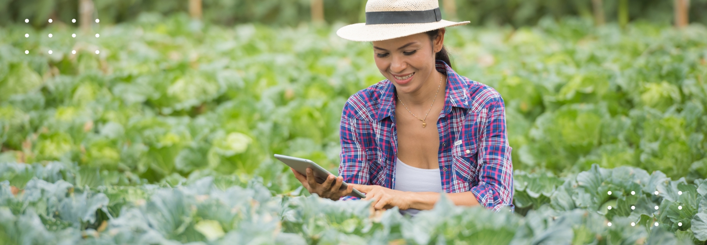 How Integrating Legacy Software Systems Can be Beneficial for Your Agricultural Enterprise?