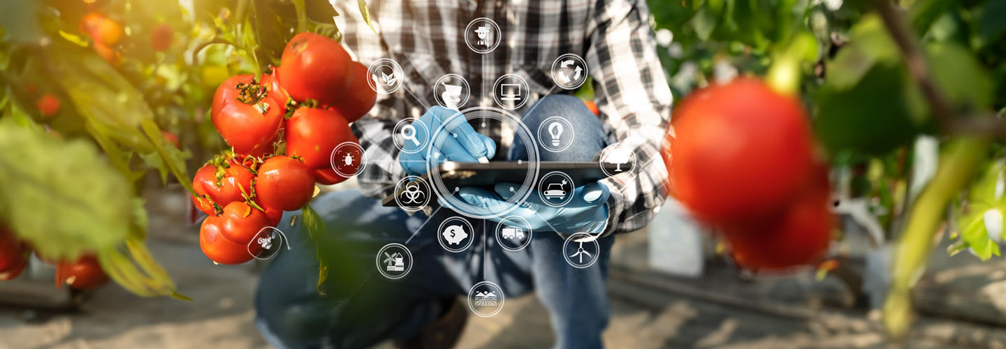 Transparency in Agriculture: How Traceability Systems Are Reshaping the Industry