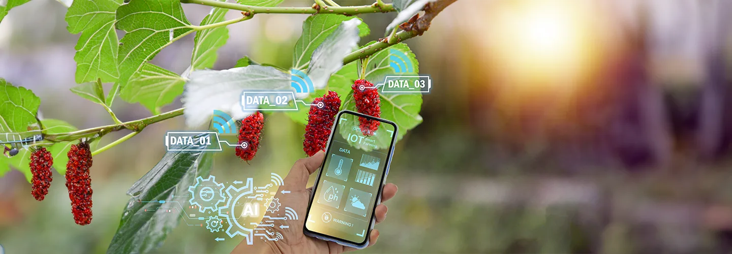 Maximising Crop Yield: The Benefits of Crop Management Software for Farmers and Agribusinesses