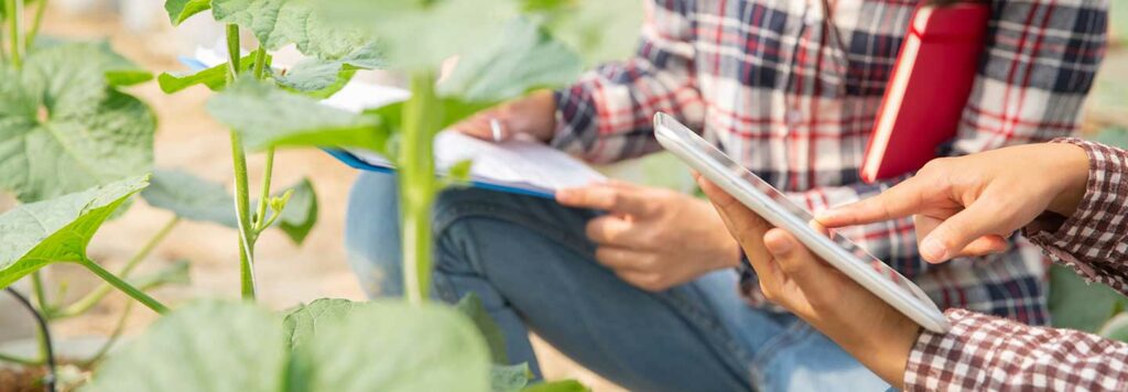 FarmERP Fortifies Plantation Management for India’s Second Largest Phosphatic Fertilizer Player