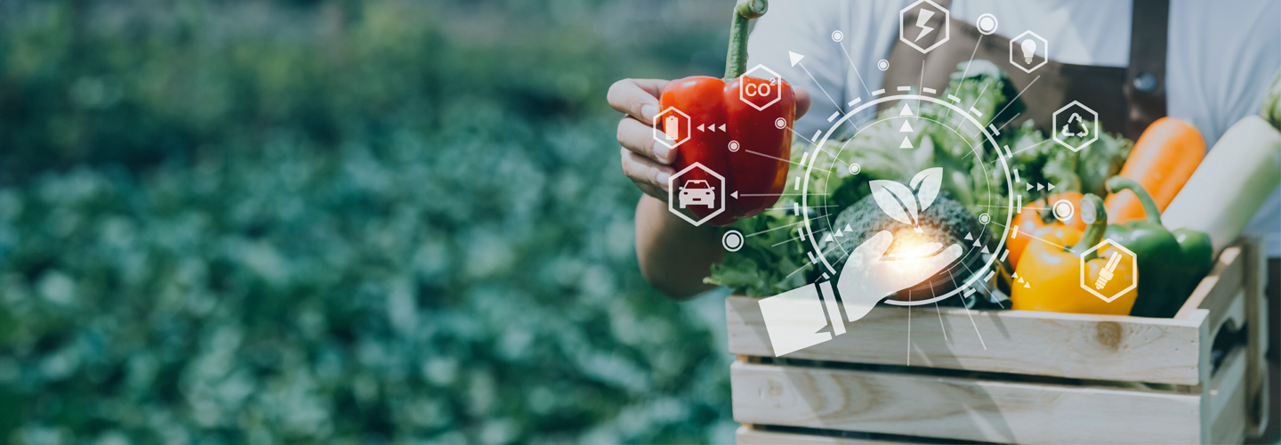 Revolutionizing Food Security: The Role of Digital Agriculture in MENA Nations