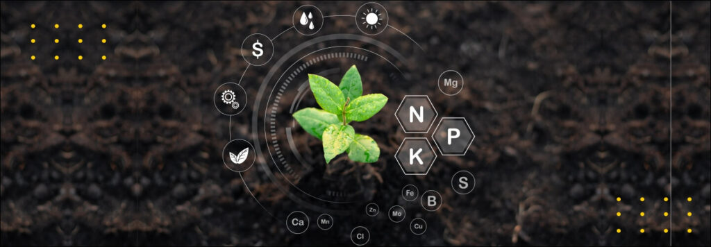 Precision Farming: A Much-needed Revolution for Agriculture’s Future