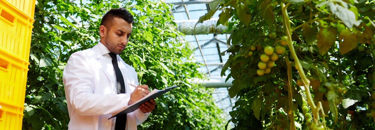 How Your Contract Farming Company Can Flourish Into a Profitable Business