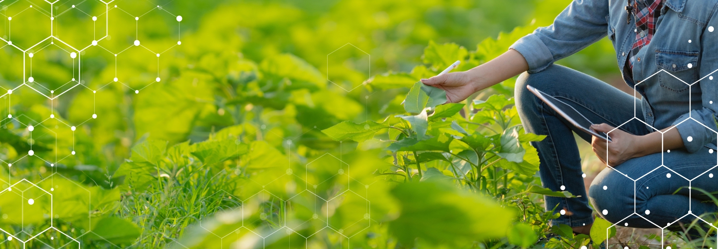 Plantation Management 4.0 – Agritech Providing Fertile Ground for Smart Farming