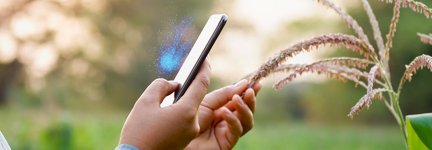 Digital Farming in Middle East Path to Agriculture 4.0 and Food Safety