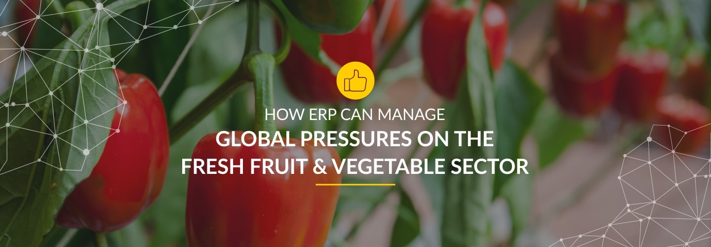How ERP can Manage Global Pressures on the Fresh Fruit & Vegetable Sector