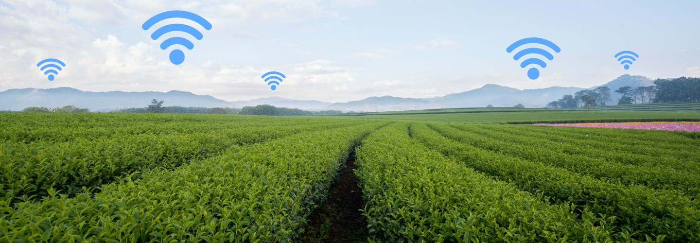 Top 6 Strategies to Fortify Large Farm Management and Magnify Productivity