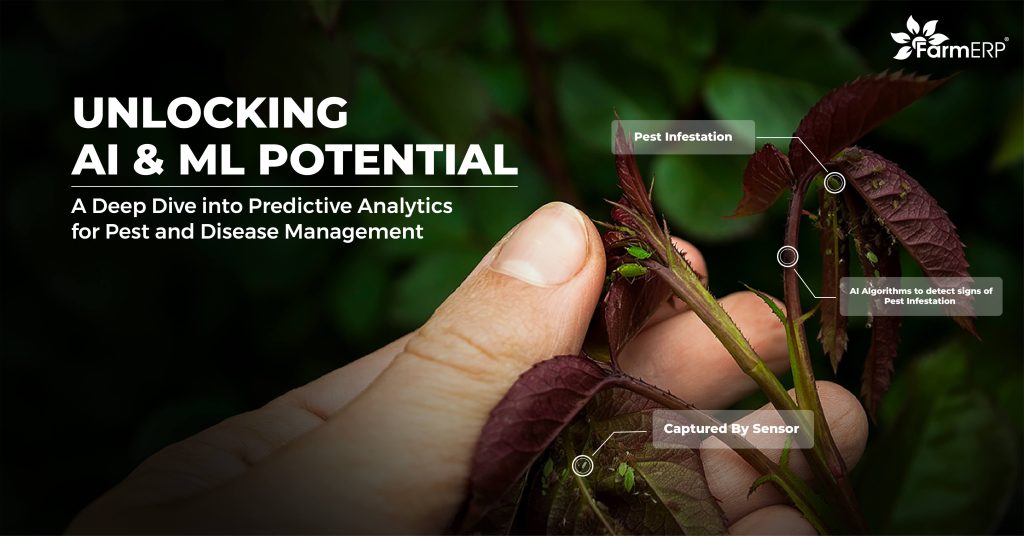 AI & ML for Effective Pest & Disease Management