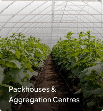 Automated post harvest process management system