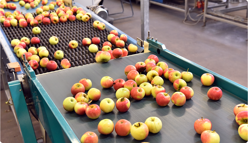 AI-powered post harvest management system