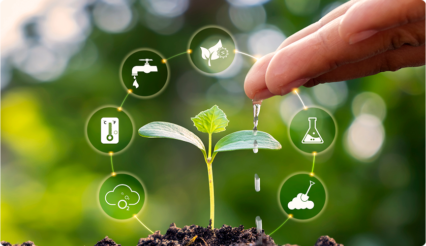 Digital post harvest processing and optimization