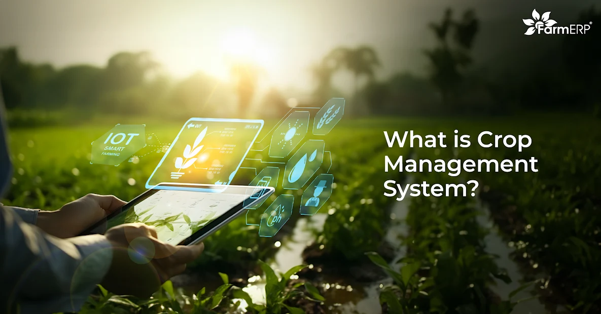 What Is a Crop Management System